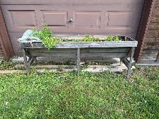 Free - Wooden Planter Box - Photo 2