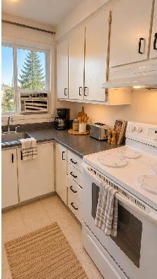 3 1/2 St-Hubert, côté soleil,  Balcon (Juillet) 1700-12 - Photo 6