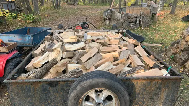 Half Cord Seansoned Oak Ash Maple in 16 inch Lenghts