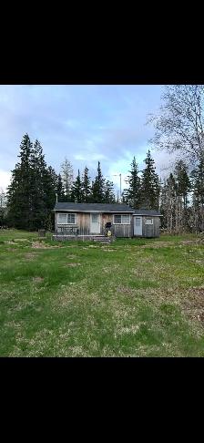CABIN FOR RENT IN MARGAREE - Photo 2