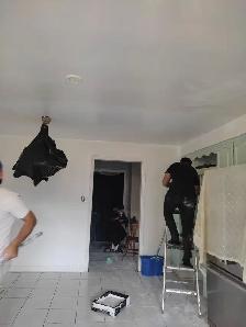 Professional Drywall Repair & Painting – Clean & Reliable - Photo 4