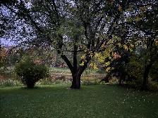 Beautiful home on Brokenhead River/Beausejour - Photo 10