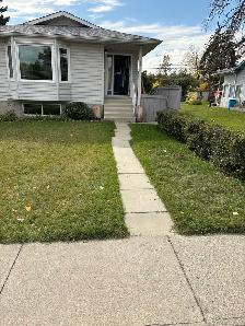 Sidewalk forming (dirt removal)
