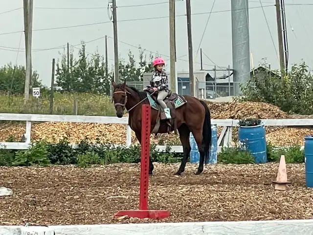 Summer Kids Camp Horses for Sale
