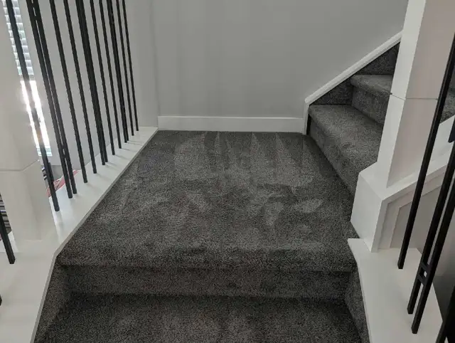 Carpet & Upholstery Cleaning