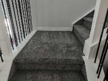 Carpet & Upholstery Cleaning