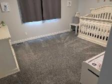 Carpet & Upholstery Cleaning - Photo 2