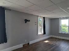 Charming 4 Bedroom Home in Bridgenorth | Sunroom & Gas Fireplace - Photo 7