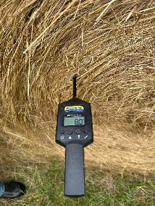2026 Timothy/Fescue/Clover Hay – 5x6 Round Bales – Buck Lake - Photo 2