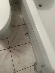cleaning serviy - Photo 8