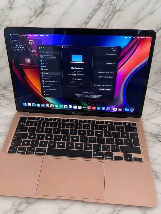 Macbook Air M1 2020 Rose Gold 256G 8G