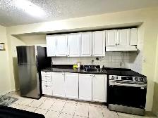 1 Bdrm Apt- 2 Mins from Scarb.Go-1540 ALL IN- St.Clair - Photo 2