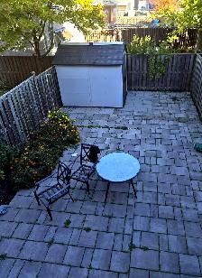 1 Bdrm Apt- 2 Mins from Scarb.Go-1540 ALL IN- St.Clair - Photo 5