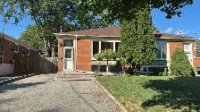 Semi Detached Raised Bungalow in Mississauga (Downstairs Unit)