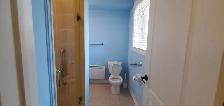 1 Bedroom   Den (Open Concept Design) Basement Apartment to Rent - Photo 5