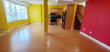 1 Bedroom   Den (Open Concept Design) Basement Apartment to Rent - Photo 7
