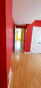 1 Bedroom   Den (Open Concept Design) Basement Apartment to Rent - Photo 9