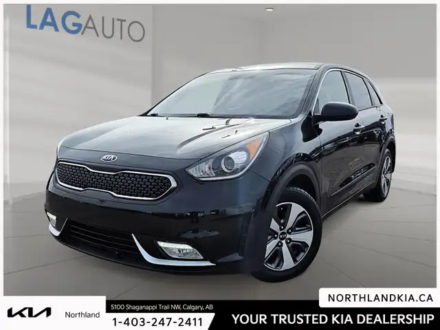 2019 Kia Niro L