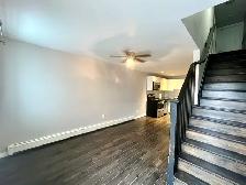 Amazing Downtown 3Bedrooms 2 Baths Apartment