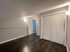 Amazing Downtown 3Bedrooms 2 Baths Apartment - Photo 4