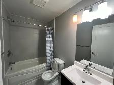 Amazing Downtown 3Bedrooms 2 Baths Apartment - Photo 13