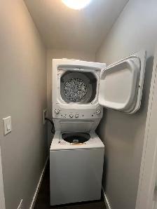 Amazing Downtown 3Bedrooms 2 Baths Apartment - Photo 14