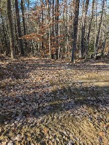 LOT FOR SALE AT THE LAKE - Photo 8