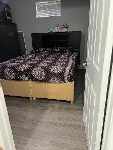 ONE BEDROOM BASEMENT IN BRAMPTON FROM NOV 1 - Photo 4