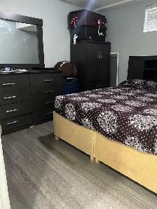 ONE BEDROOM BASEMENT IN BRAMPTON FROM NOV 1 - Photo 5