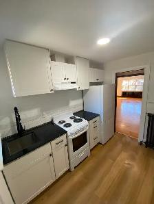 Large 1 Bedroom in Jane Subway Line (Utilities INCLUDED) - Photo 2