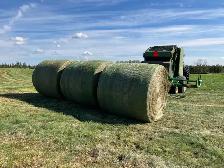 Hay bales for sale
