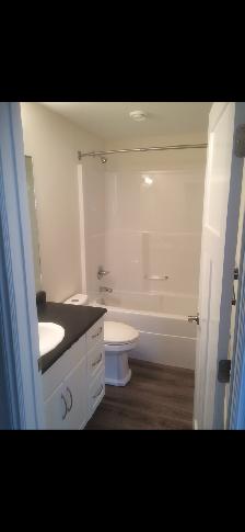 Buena Vista Vista basement suite. - Photo 5