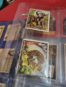 Vintage Non Sports Cards - Photo 3