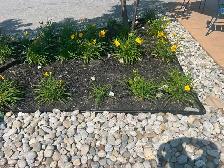 plant bed/ lawn services & more - Photo 2