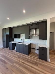 Kitchen Reno Cabinets Countertops Backsplash