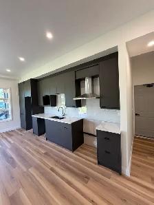 Kitchen Reno Cabinets Countertops Backsplash - Photo 2