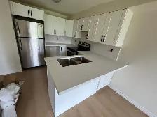 Kitchen Reno Cabinets Countertops Backsplash - Photo 5