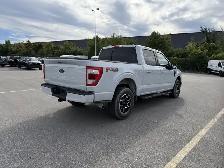 2022 Ford F-150 LARI - Photo 5