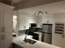 Kitchen Cabinets Countertops Professional Work - Photo 5