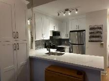 Kitchen Cabinets Countertops Professional Work - Photo 6