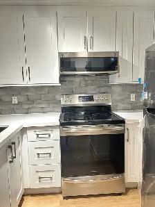 Kitchen Cabinets Countertops Professional Work - Photo 7