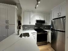 Kitchen Cabinets Countertops Professional Work - Photo 9