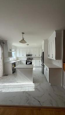 Kitchen Renovation Cabinets Countertops - Photo 2