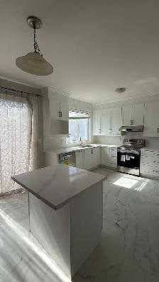 Kitchen Renovation Cabinets Countertops - Photo 3