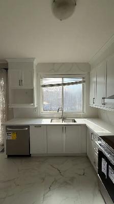 Kitchen Renovation Cabinets Countertops - Photo 9