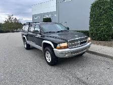 2003 Dodge Dakota Quad - Photo 2