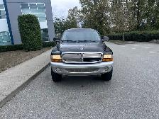 2003 Dodge Dakota Quad - Photo 6