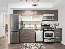 Beautiful 2 Bedroom Condo at Queen/ Dufferin for Rent - Photo 3