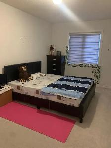 room for rent - Photo 5