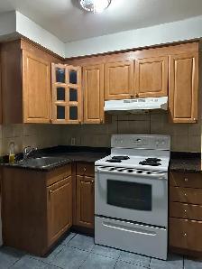 Appartement 4 1/2 rénové Montréal Nord / Lacordaire - Photo 4
